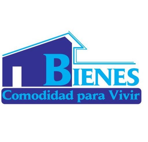 CARMEN ELENA OCHOA GUEDES